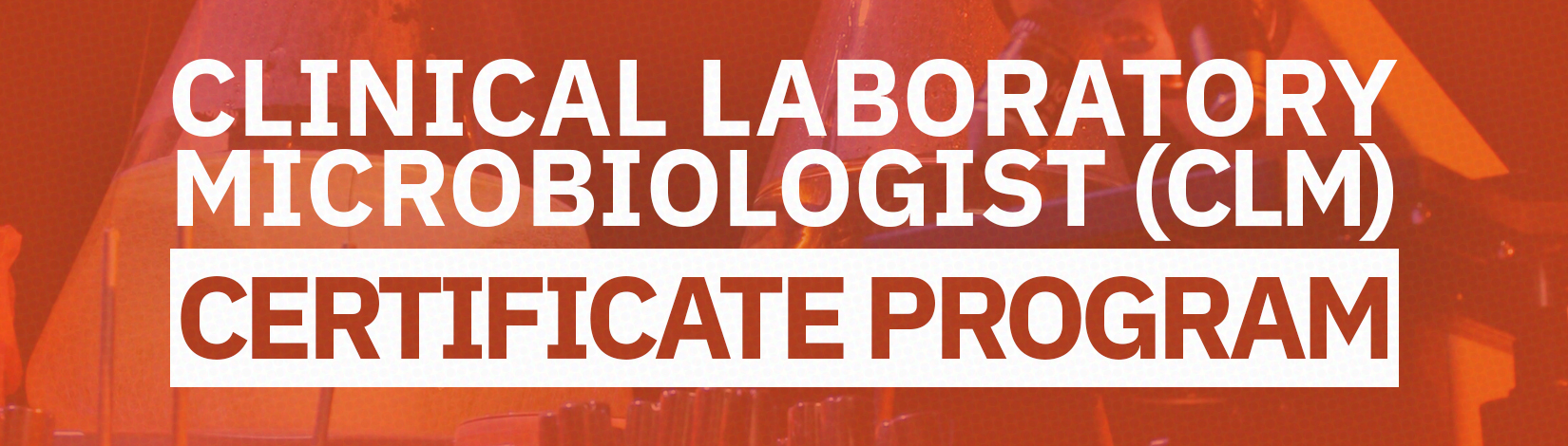 CLM technical standards PDF